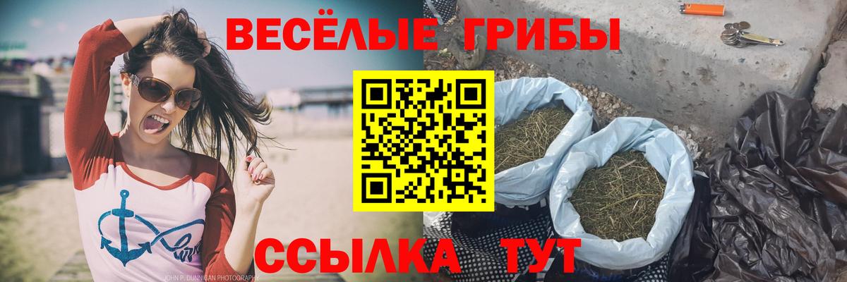 Обнинск  Псилоцибиновые грибы Cubensis  Вход с VPN 